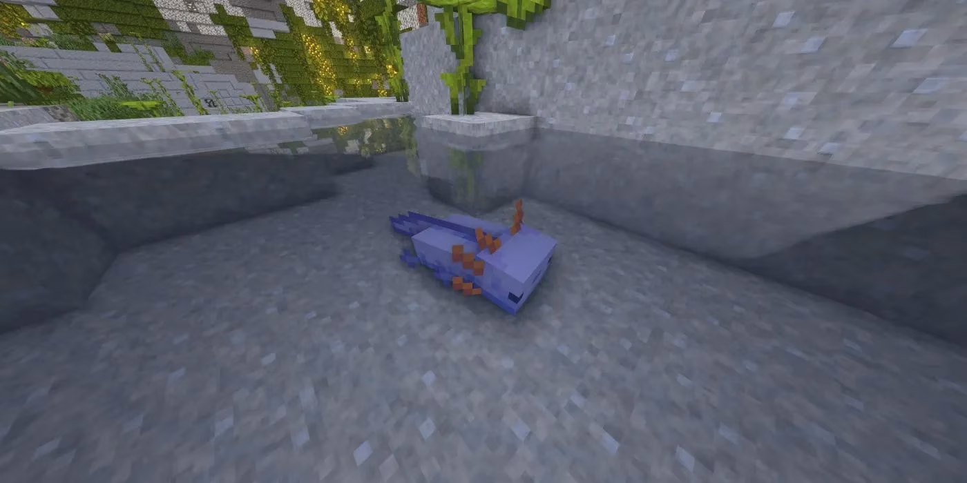 my-epic-quest-for-the-elusive-blue-axolotl-in-minecraft-image-3