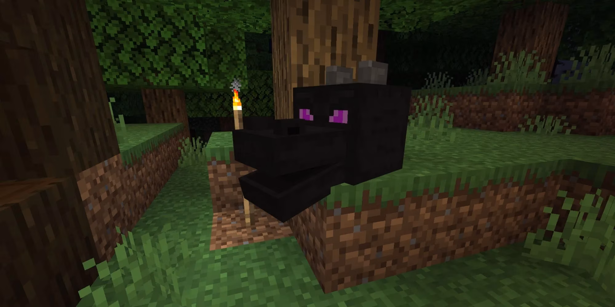 my-ultimate-guide-to-finding-the-rarest-blocks-in-minecraft-in-2026-image-0